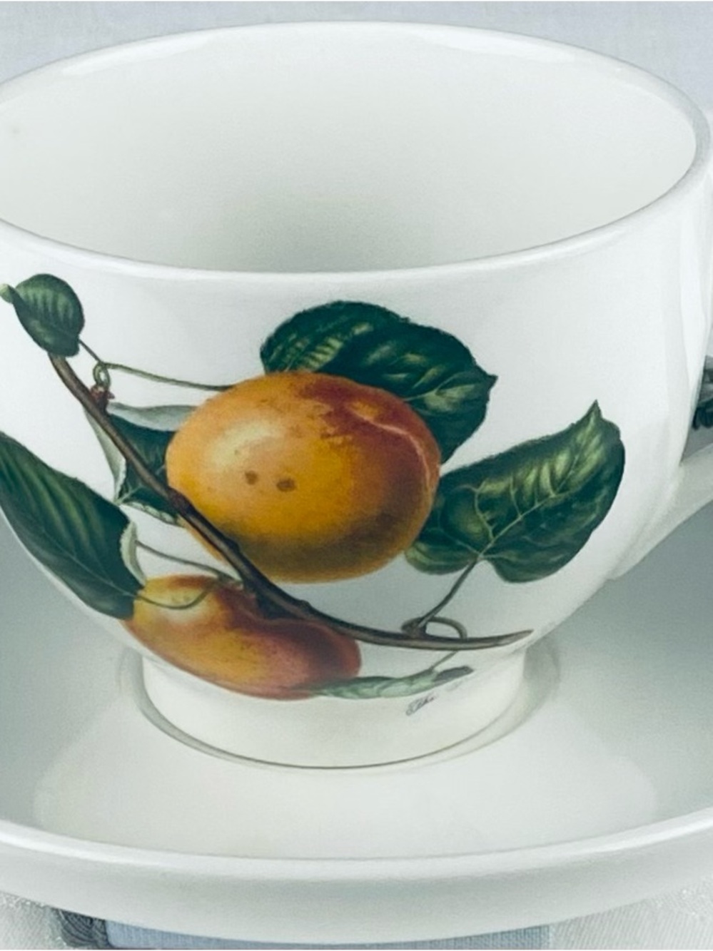 Portmeirion Cup and Saucer “The Roman Apricot” Pattern